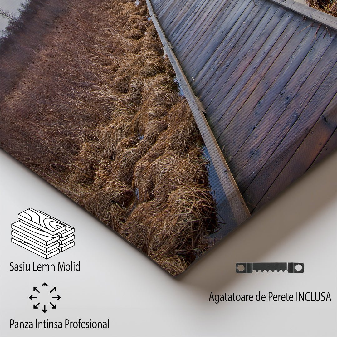 tablou canvas ; tablou pe panza ;tablou personalizat ;tablou abstract ;tablou natura