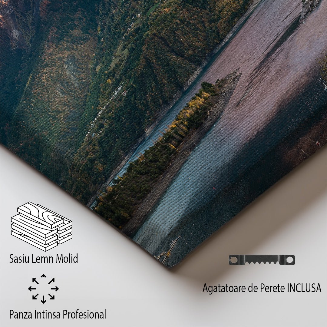 tablou canvas ; tablou pe panza ;tablou personalizat ;tablou abstract ;tablou natura