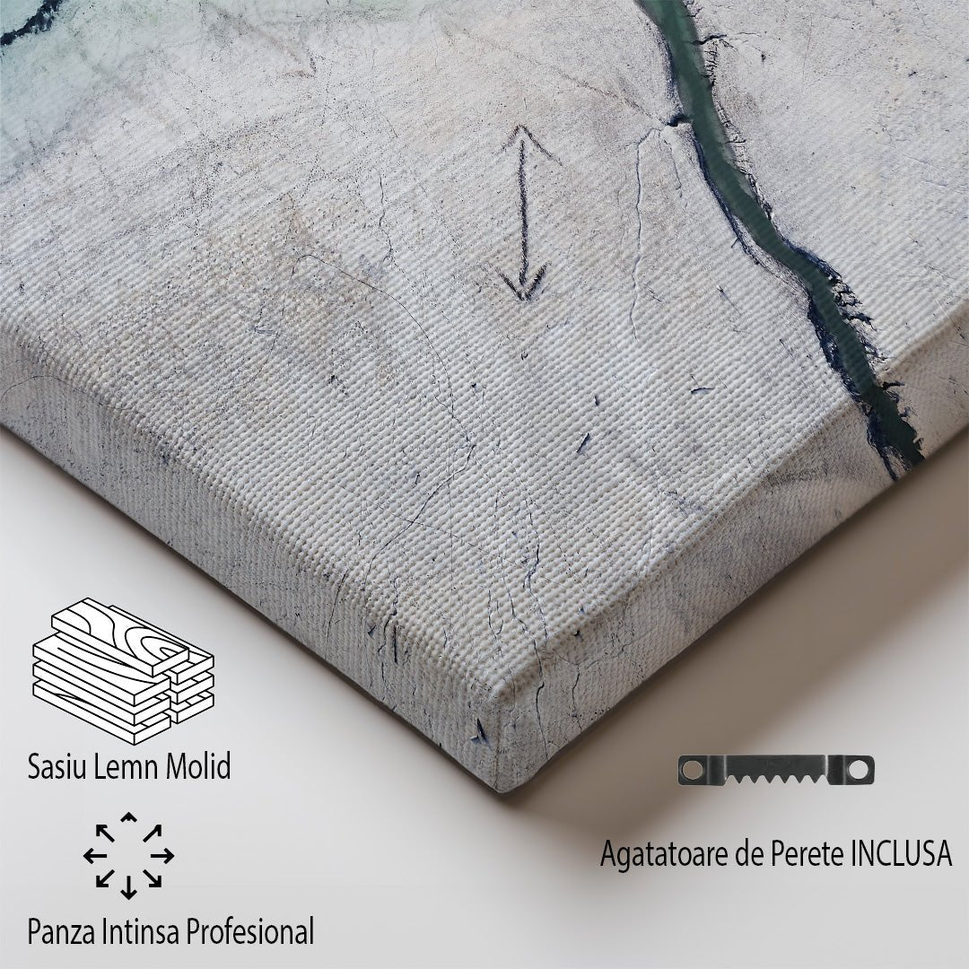 tablou canvas ; tablou pe panza ;tablou personalizat ;tablou abstract ;tablou natura