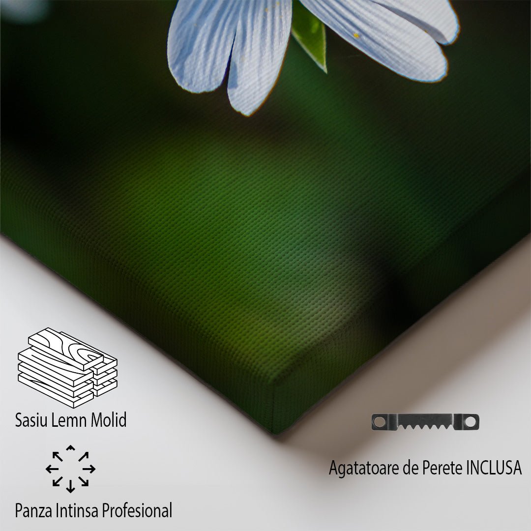 tablou canvas ; tablou pe panza ;tablou personalizat ;tablou abstract ;tablou natura