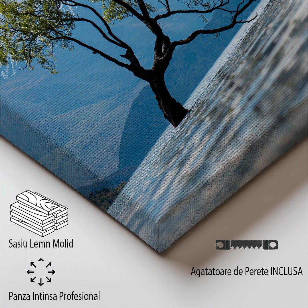 tablou canvas ; tablou pe panza ;tablou personalizat ;tablou abstract ;tablou natura