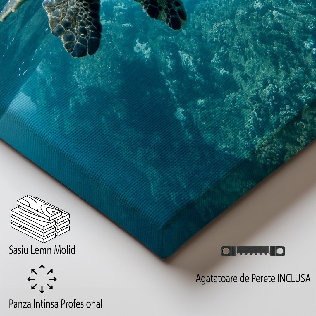 tablou canvas ; tablou pe panza ;tablou personalizat ;tablou abstract ;tablou natura