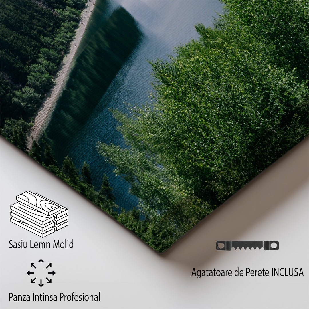 tablou canvas ; tablou pe panza ;tablou personalizat ;tablou abstract ;tablou natura