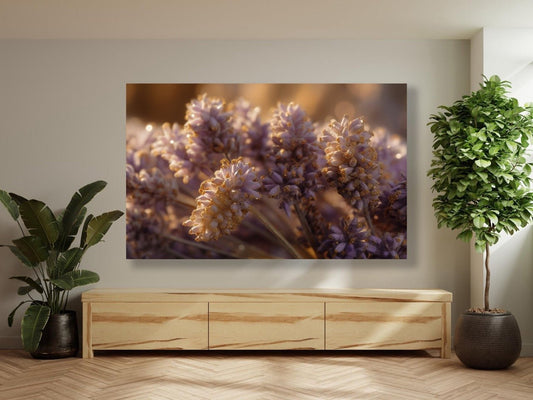 Tablou Canvas lavanda retroiluminata sub lumina calda a apusului | The Print Studio
