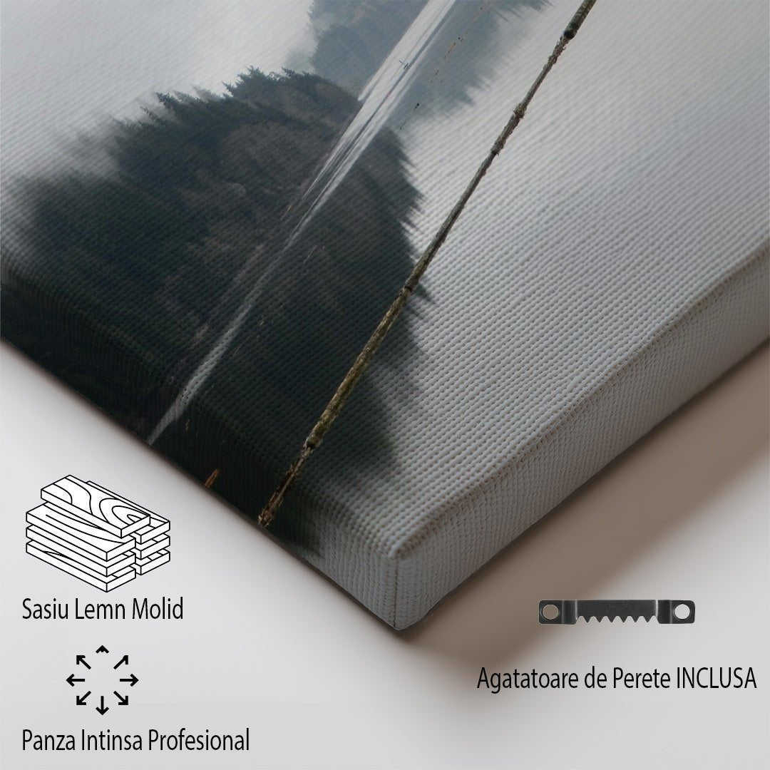 tablou canvas ; tablou pe panza ;tablou personalizat ;tablou abstract ;tablou natura