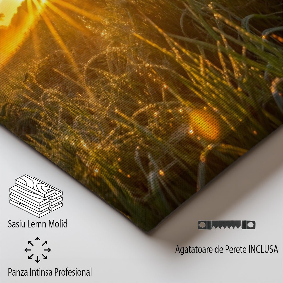 tablou canvas ; tablou pe panza ;tablou personalizat ;tablou abstract ;tablou natura