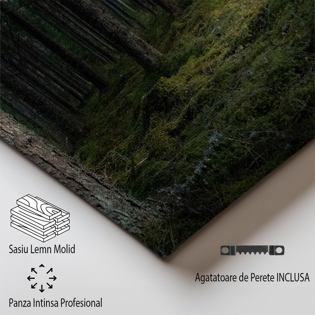 tablou canvas ; tablou pe panza ;tablou personalizat ;tablou abstract ;tablou natura