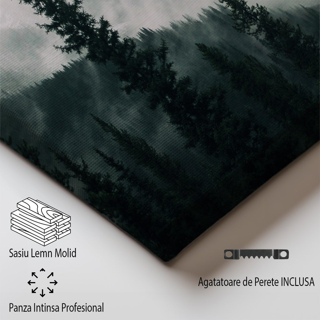 tablou canvas ; tablou pe panza ;tablou personalizat ;tablou abstract ;tablou natura
