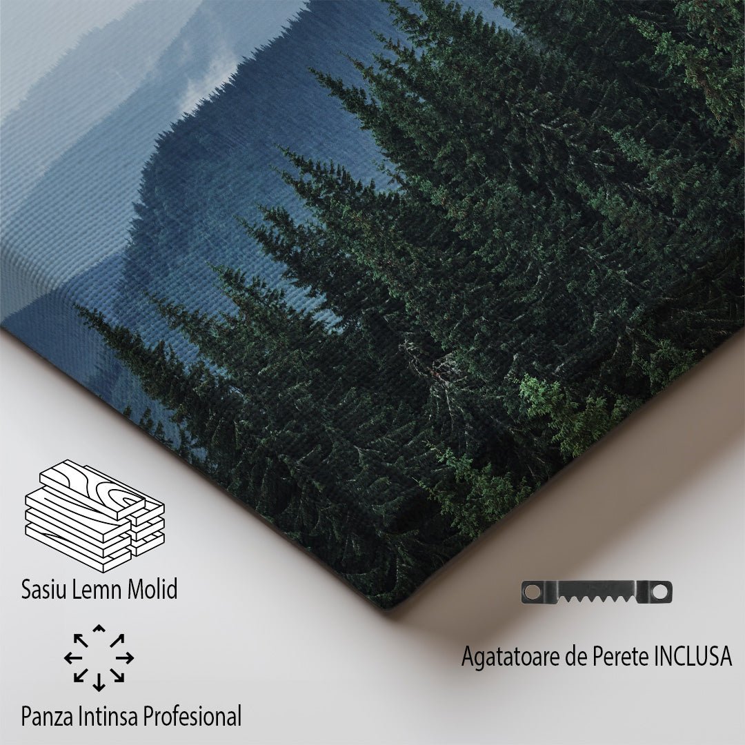 tablou canvas ; tablou pe panza ;tablou personalizat ;tablou abstract ;tablou natura