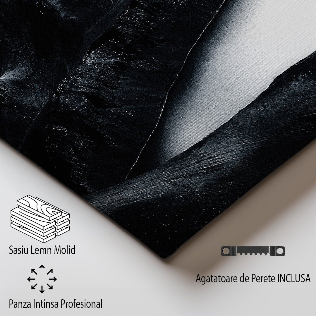 tablou canvas ; tablou pe panza ;tablou personalizat ;tablou abstract ;tablou natura