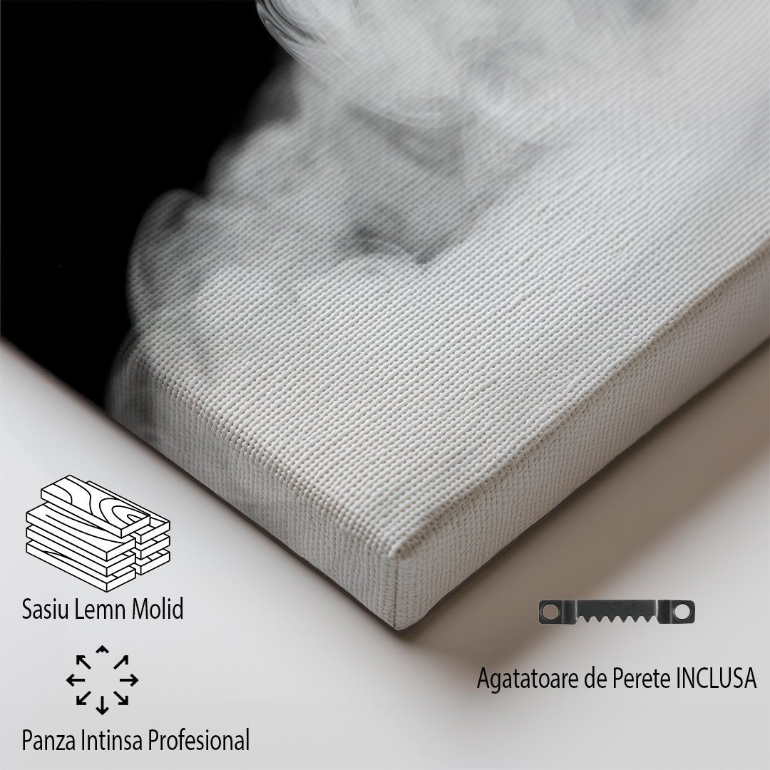 tablou canvas ; tablou pe panza ;tablou personalizat ;tablou abstract ;tablou natura