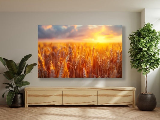 Tablou Canvas rasarit fermecator in lan de grau | The Print Studio