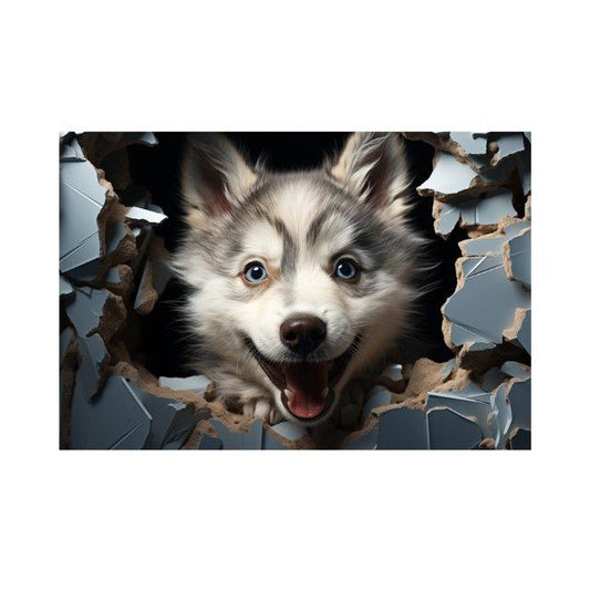 Tablou Canvas husky pui cu ochi stralucitori si curiosi | The Print Studio