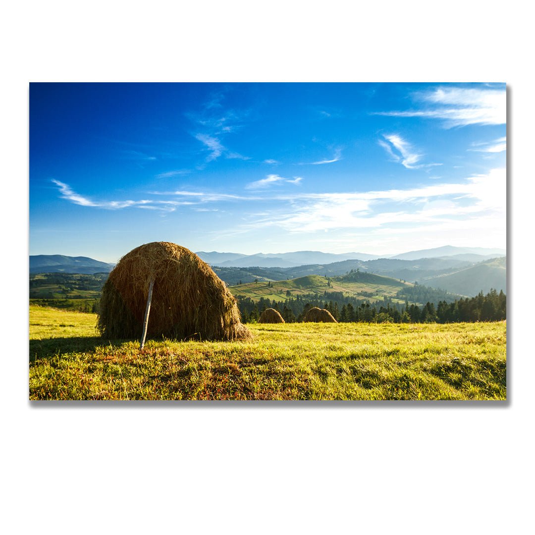 tablou canvas ; tablou pe panza ;tablou personalizat ;tablou abstract ;tablou natura