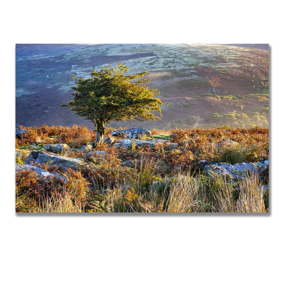tablou canvas ; tablou pe panza ;tablou personalizat ;tablou abstract ;tablou natura