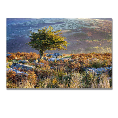 tablou canvas ; tablou pe panza ;tablou personalizat ;tablou abstract ;tablou natura