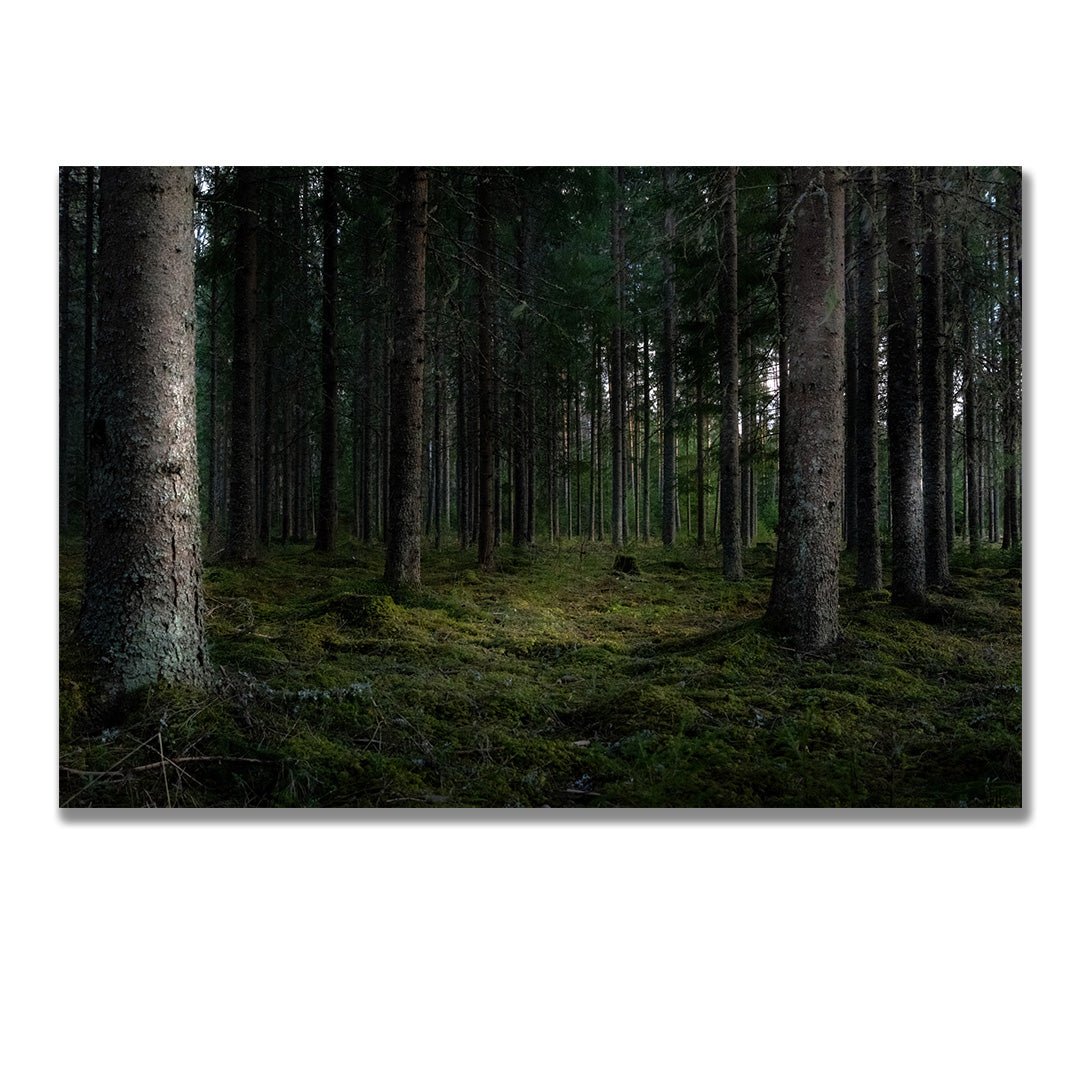 tablou canvas ; tablou pe panza ;tablou personalizat ;tablou abstract ;tablou natura