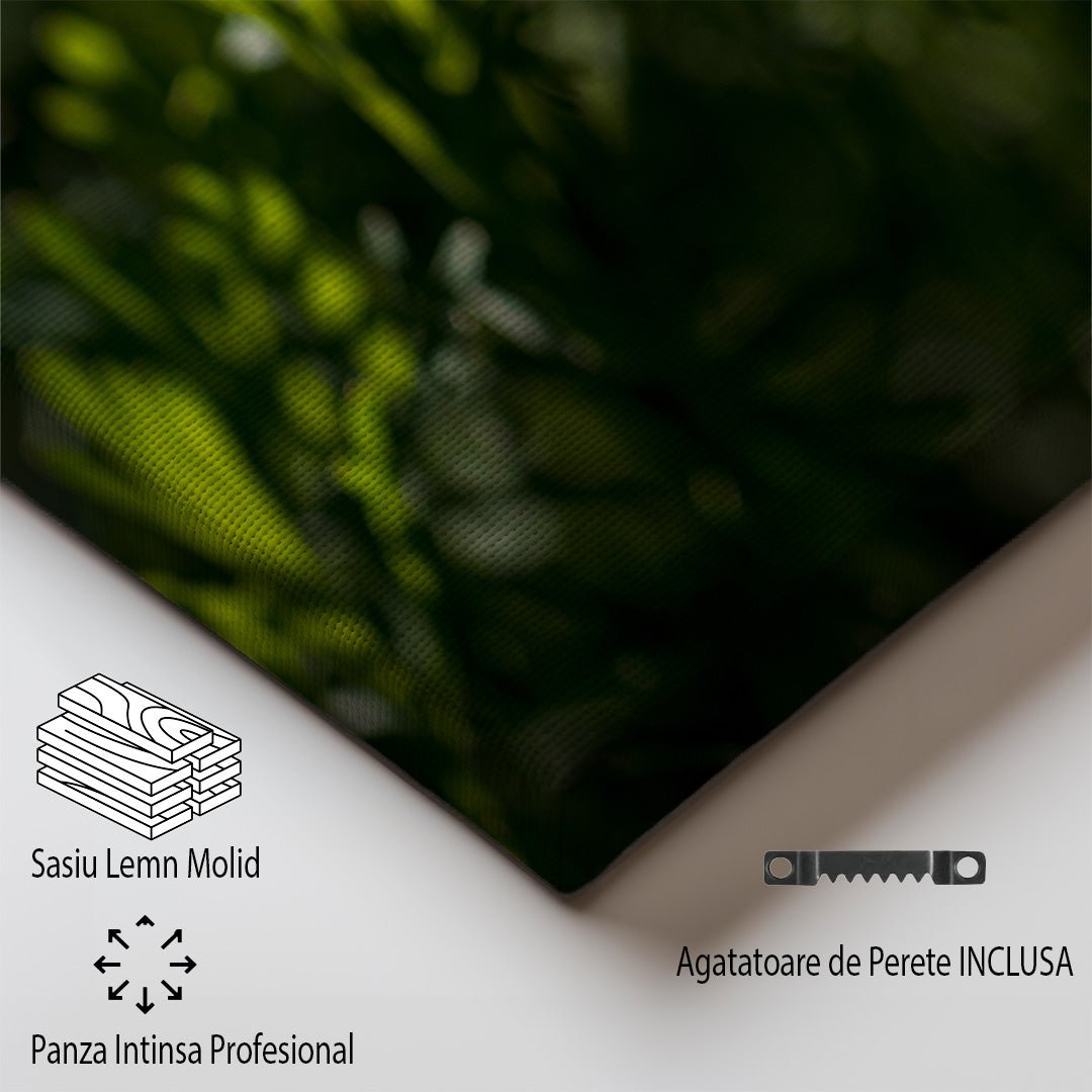 tablou canvas ; tablou pe panza ;tablou personalizat ;tablou abstract ;tablou natura