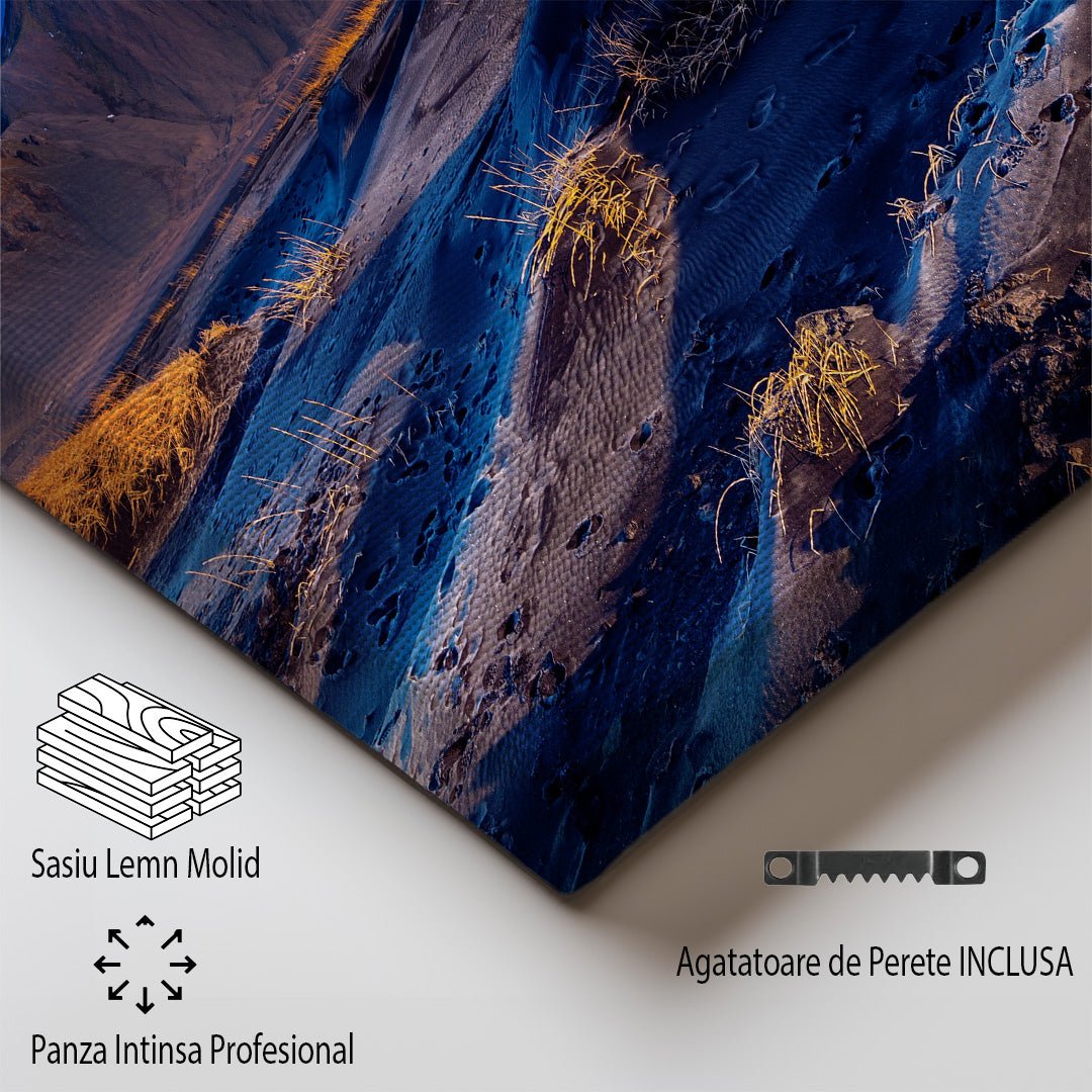 tablou canvas ; tablou pe panza ;tablou personalizat ;tablou abstract ;tablou natura