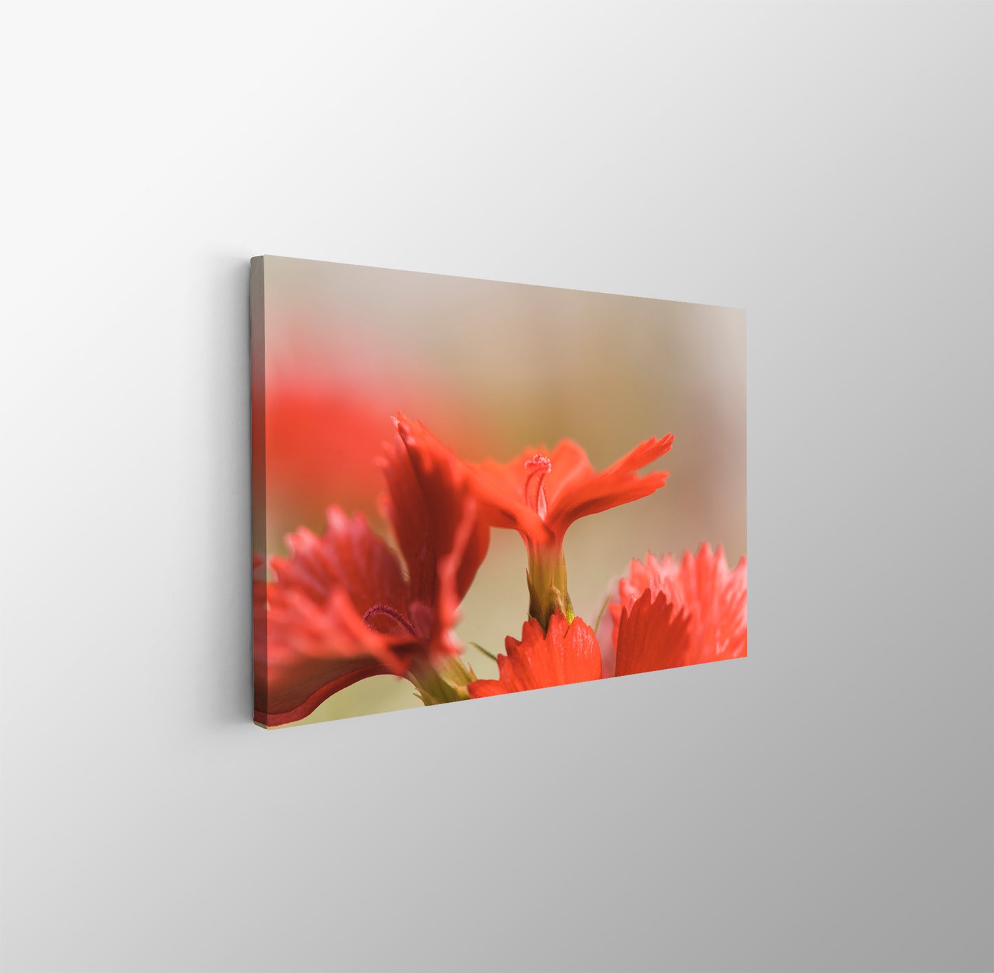 tablou canvas ; tablou pe panza ;tablou personalizat ;tablou abstract ;tablou natura