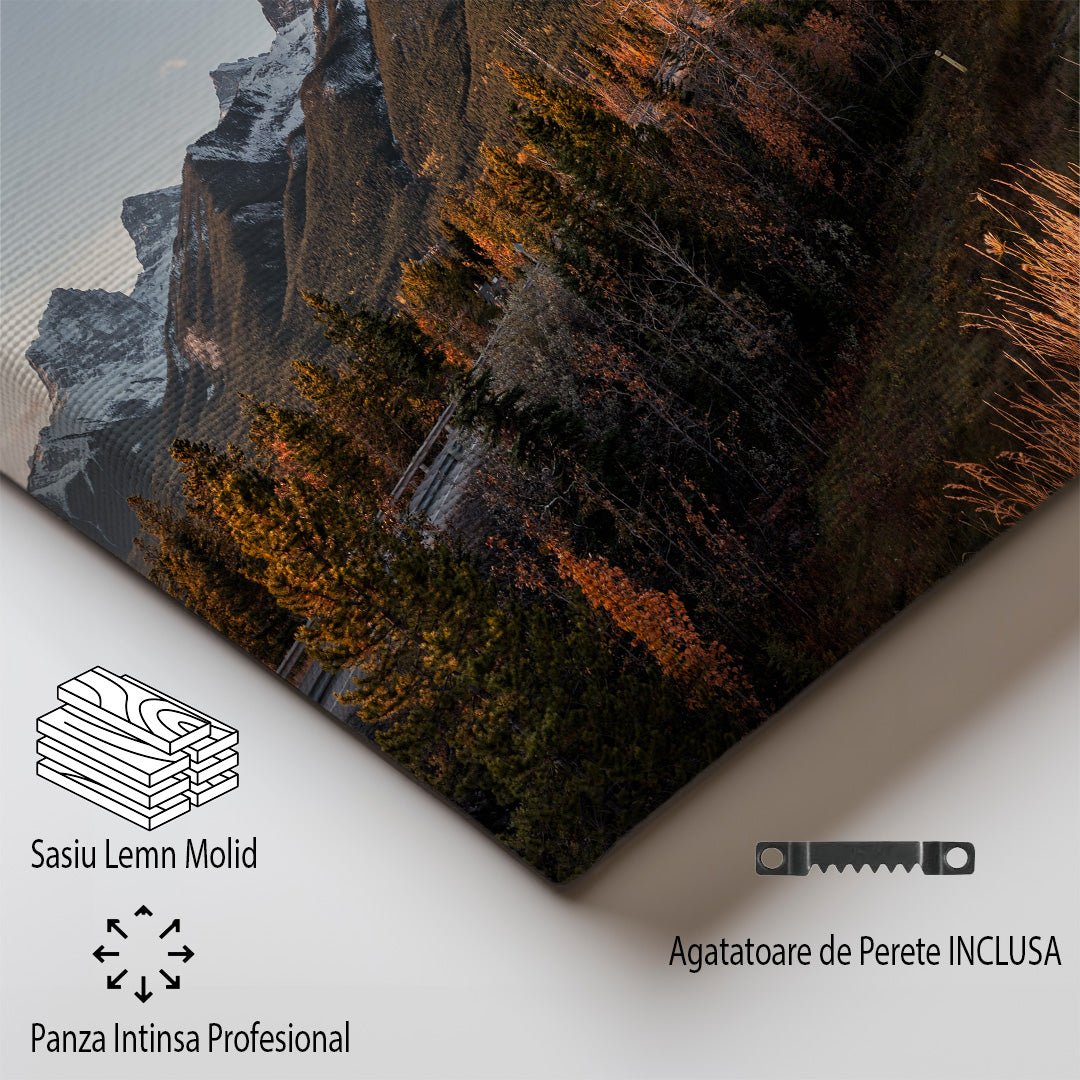 tablou canvas ; tablou pe panza ;tablou personalizat ;tablou abstract ;tablou natura