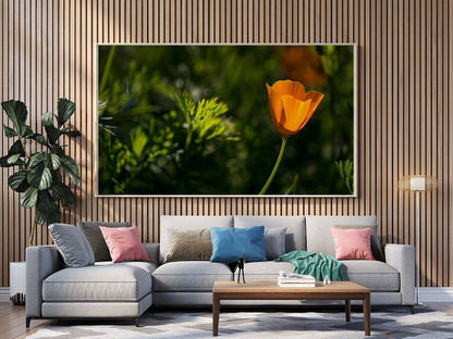 tablou canvas ; tablou pe panza ;tablou personalizat ;tablou abstract ;tablou natura