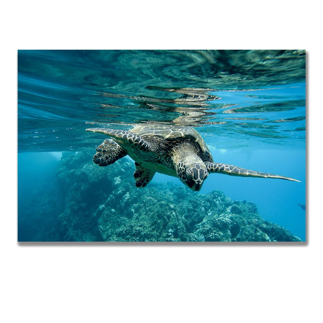 tablou canvas ; tablou pe panza ;tablou personalizat ;tablou abstract ;tablou natura