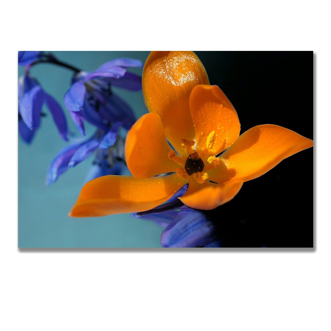 tablou canvas ; tablou pe panza ;tablou personalizat ;tablou abstract ;tablou natura