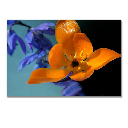 tablou canvas ; tablou pe panza ;tablou personalizat ;tablou abstract ;tablou natura