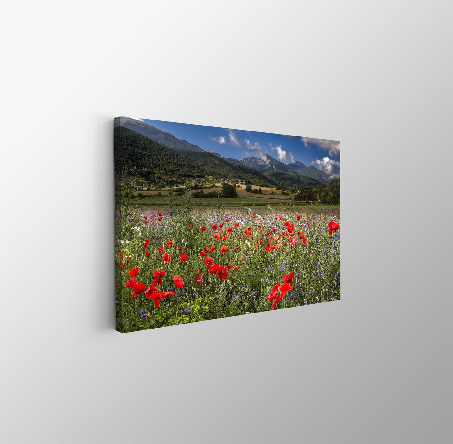 tablou canvas ; tablou pe panza ;tablou personalizat ;tablou abstract ;tablou natura