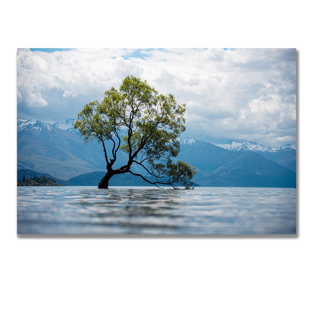 tablou canvas ; tablou pe panza ;tablou personalizat ;tablou abstract ;tablou natura