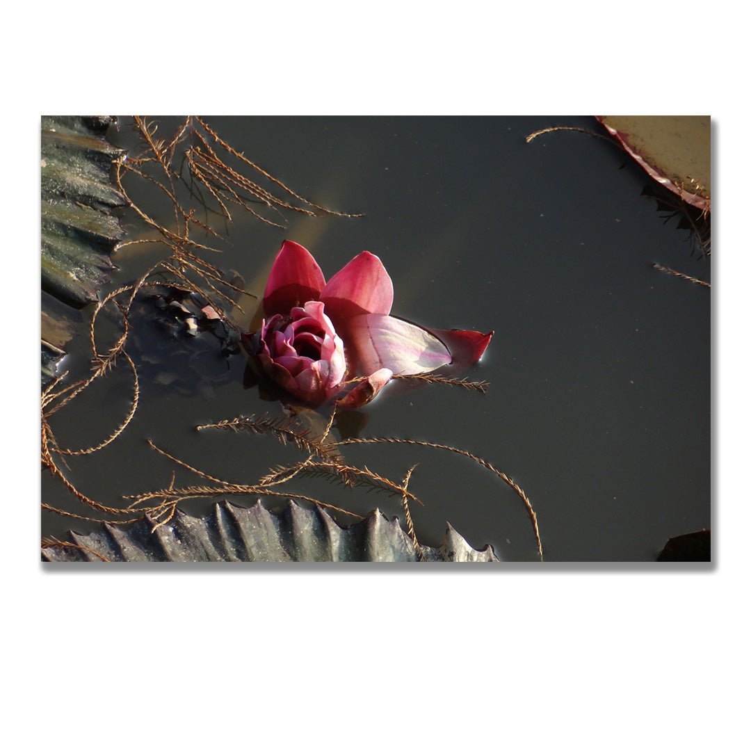 tablou canvas ; tablou pe panza ;tablou personalizat ;tablou abstract ;tablou natura