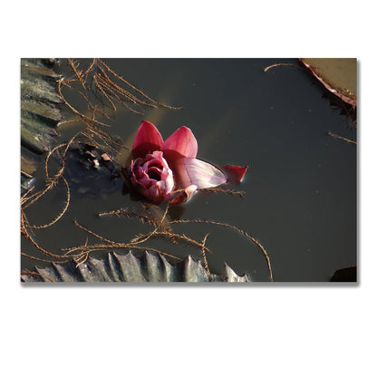 tablou canvas ; tablou pe panza ;tablou personalizat ;tablou abstract ;tablou natura