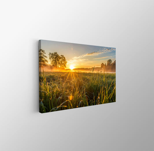 tablou canvas ; tablou pe panza ;tablou personalizat ;tablou abstract ;tablou natura