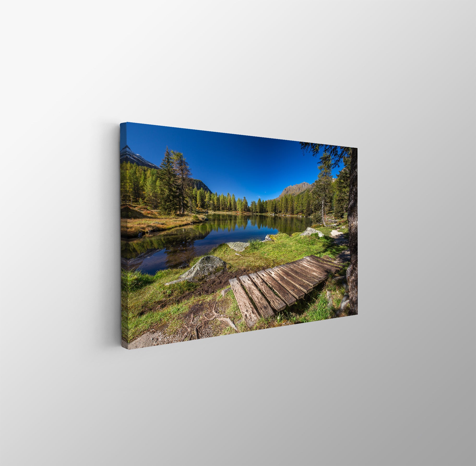 tablou canvas ; tablou pe panza ;tablou personalizat ;tablou abstract ;tablou natura