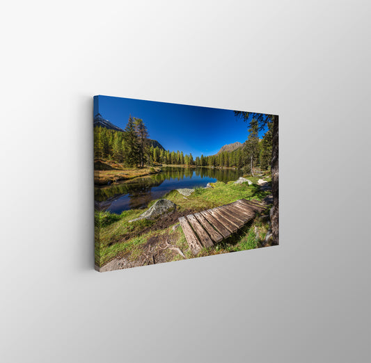 tablou canvas ; tablou pe panza ;tablou personalizat ;tablou abstract ;tablou natura