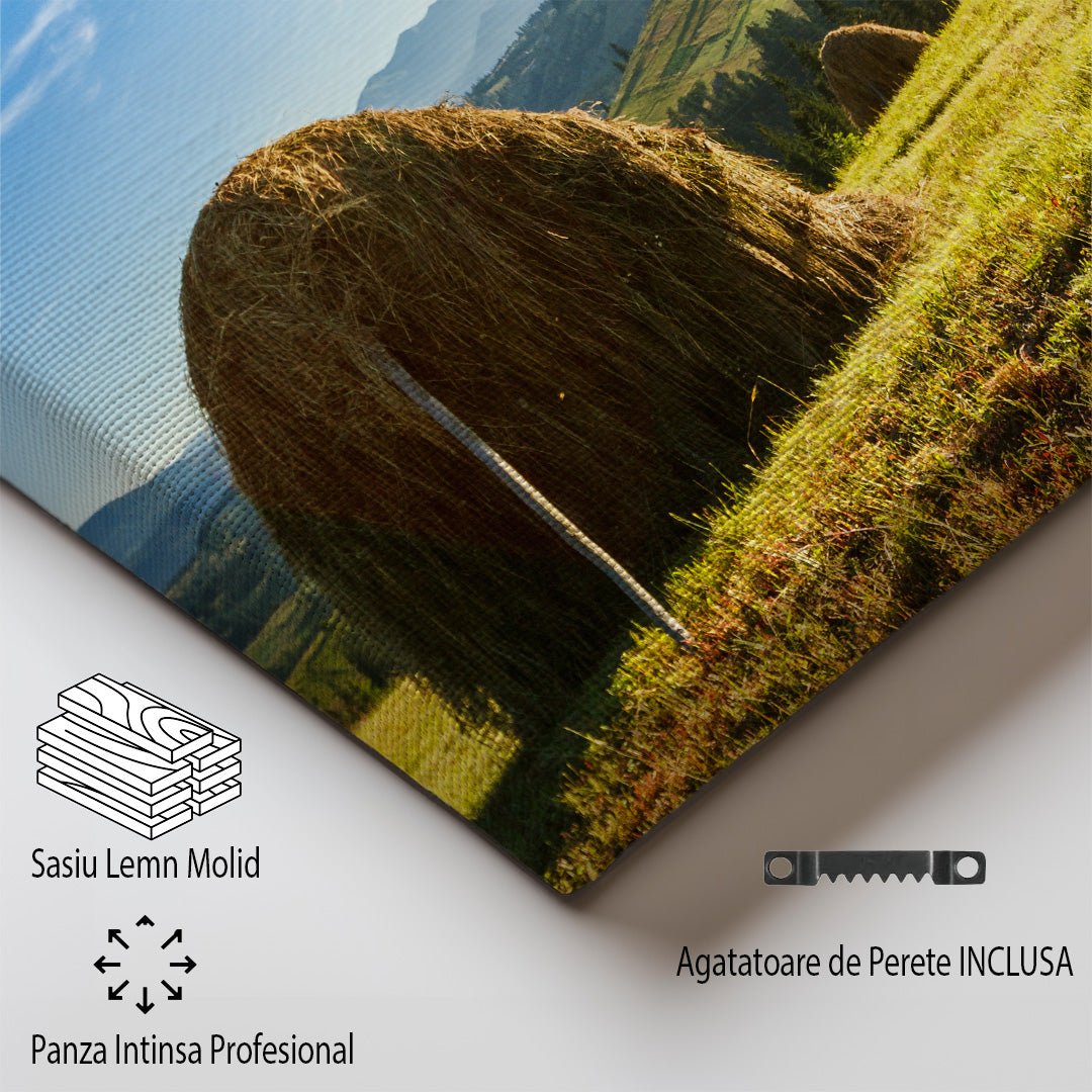 tablou canvas ; tablou pe panza ;tablou personalizat ;tablou abstract ;tablou natura