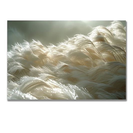 Tablou Canvas pene delicate sub lumina blanda | The Print Studio