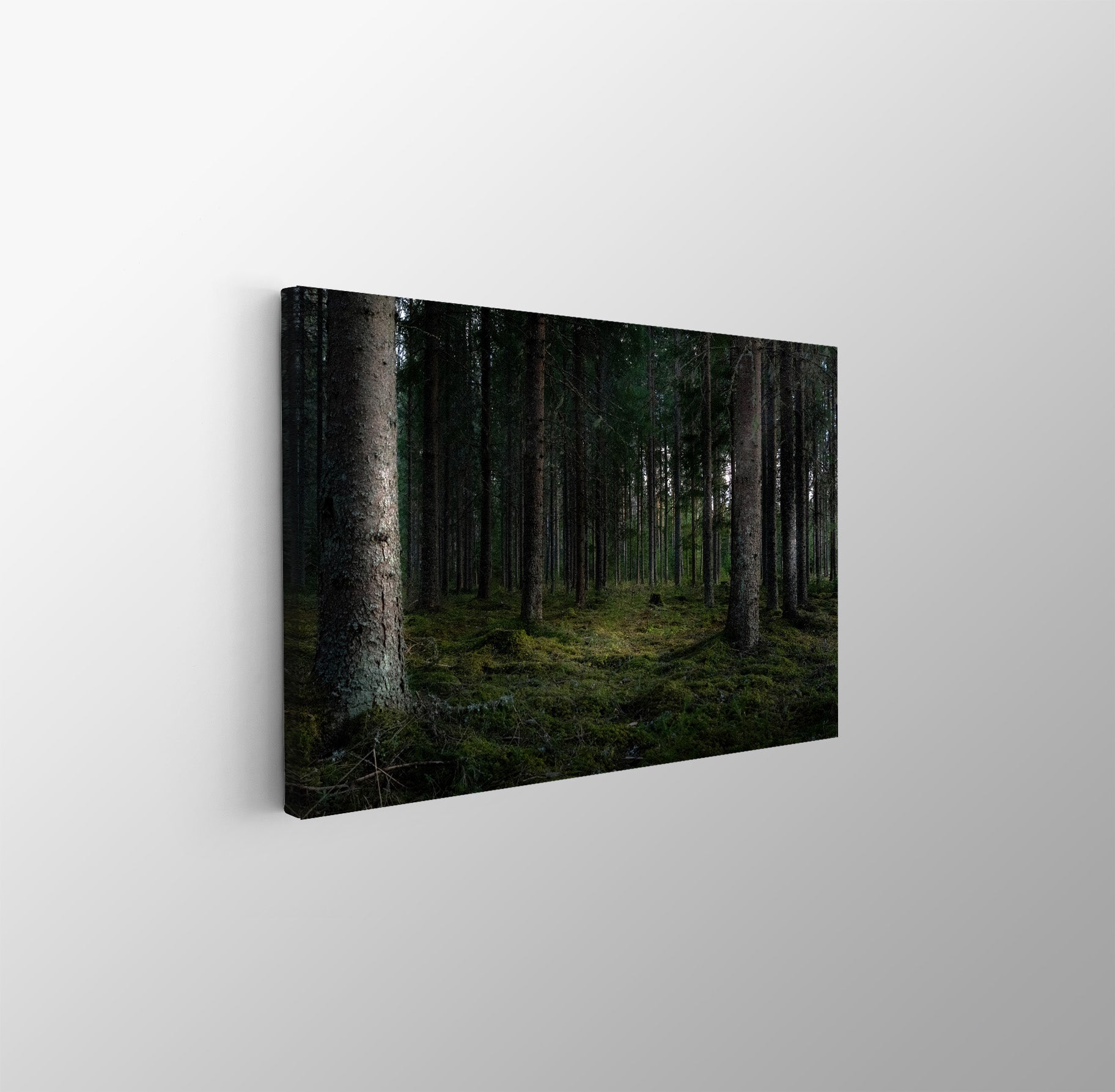 tablou canvas ; tablou pe panza ;tablou personalizat ;tablou abstract ;tablou natura