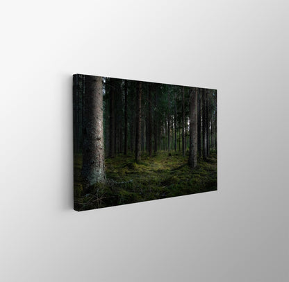 tablou canvas ; tablou pe panza ;tablou personalizat ;tablou abstract ;tablou natura