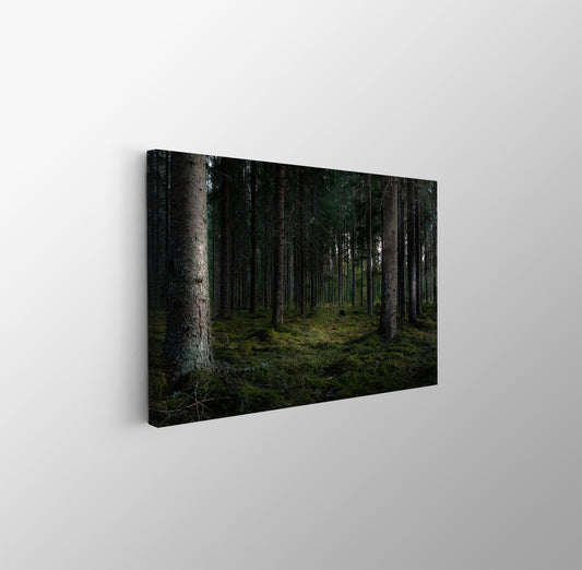 tablou canvas ; tablou pe panza ;tablou personalizat ;tablou abstract ;tablou natura