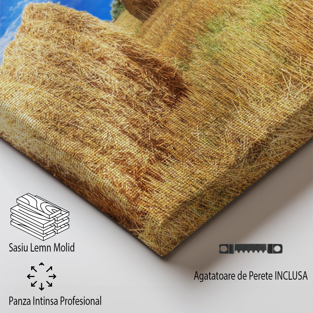 tablou canvas ; tablou pe panza ;tablou personalizat ;tablou abstract ;tablou natura