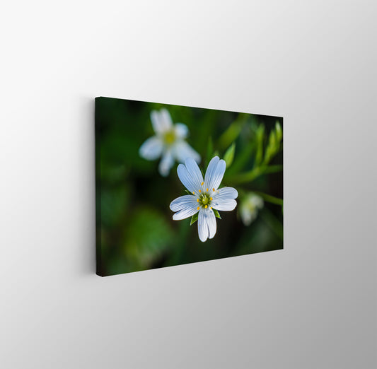 tablou canvas ; tablou pe panza ;tablou personalizat ;tablou abstract ;tablou natura