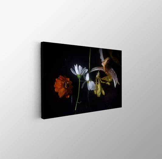 tablou canvas ; tablou pe panza ;tablou personalizat ;tablou abstract ;tablou natura