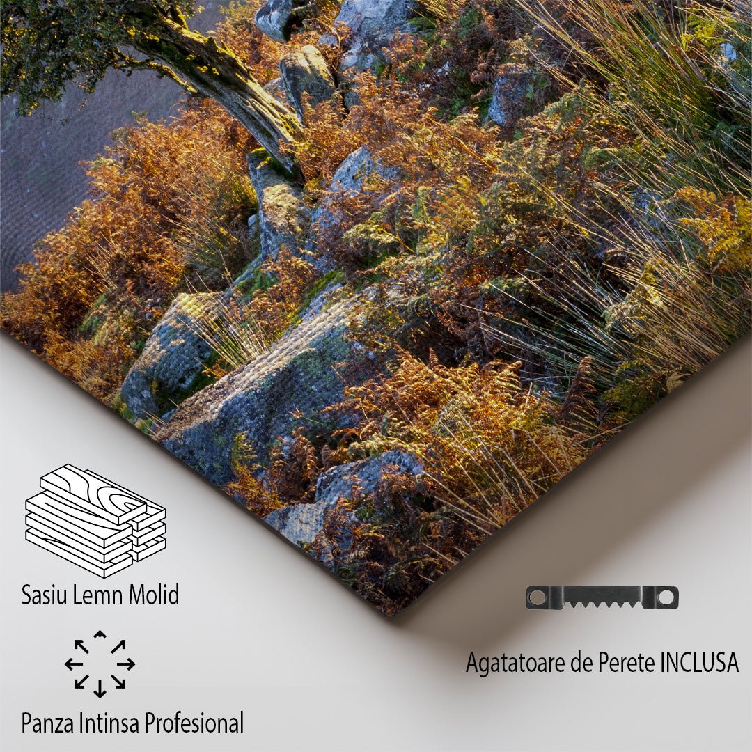 tablou canvas ; tablou pe panza ;tablou personalizat ;tablou abstract ;tablou natura