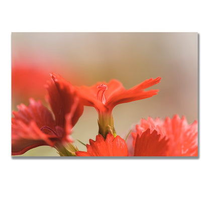 tablou canvas ; tablou pe panza ;tablou personalizat ;tablou abstract ;tablou natura