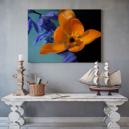 tablou canvas ; tablou pe panza ;tablou personalizat ;tablou abstract ;tablou natura