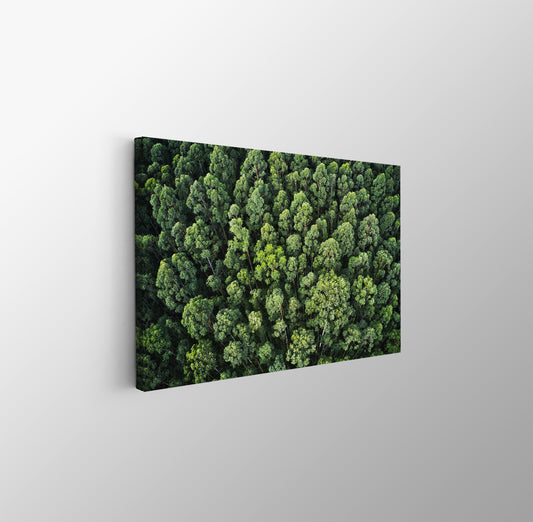 tablou canvas ; tablou pe panza ;tablou personalizat ;tablou abstract ;tablou natura