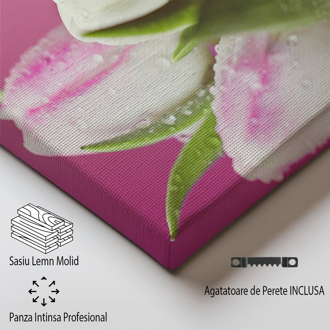 tablou canvas ; tablou pe panza ;tablou personalizat ;tablou abstract ;tablou natura