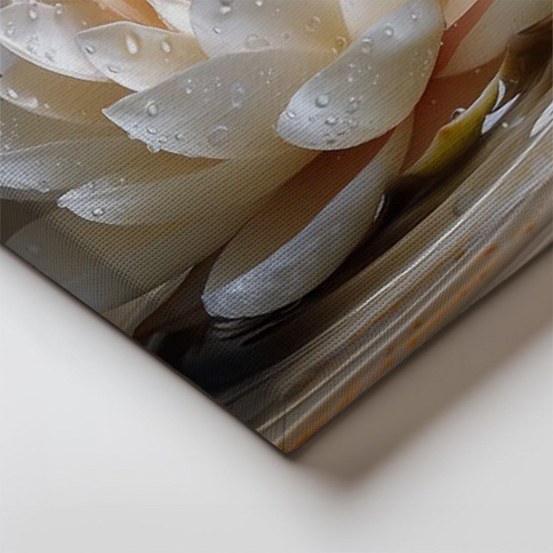 Tablou Canvas Floare lotus in apa reflexie delicata | The Print Studio